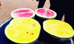 之前的吃瓜爆料有哪些,吃瓜爆料背后的真相与内幕